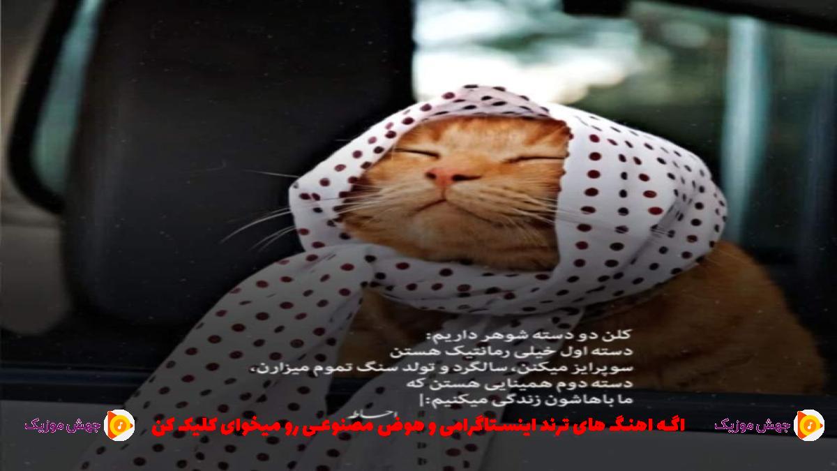 دانلود آهنگ نوکرتم ننه جهان کوچیکو فانیه ننه از